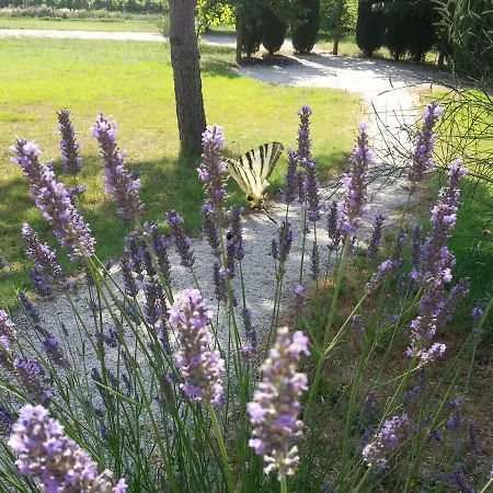 Des Cammaous * Vacquieres (Herault)